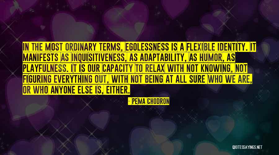 Encanto Park Quotes By Pema Chodron Encanto Park Quotes By Pema Chodron