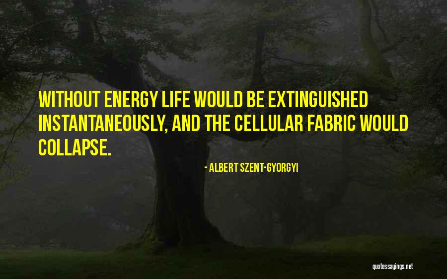 Encaustic Photography Quotes By Albert Szent-Gyorgyi Encaustic Photography Quotes By Albert Szent-Gyorgyi