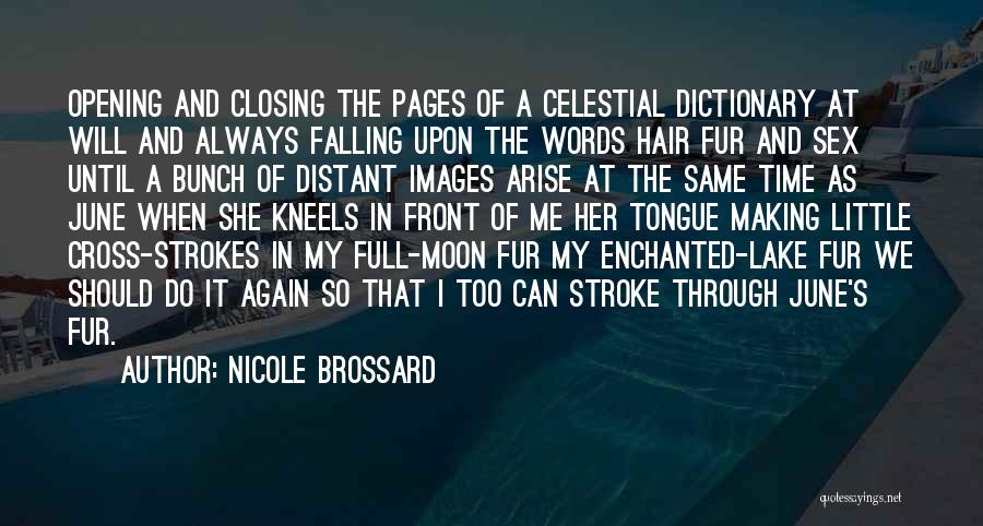 Enchanted Quotes By Nicole Brossard