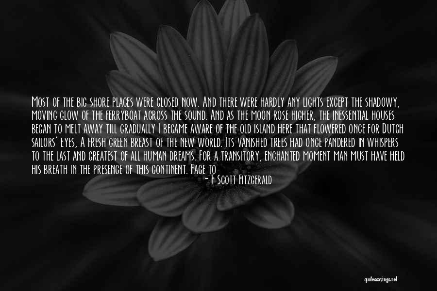 Enchanted Rose Quotes By F Scott Fitzgerald