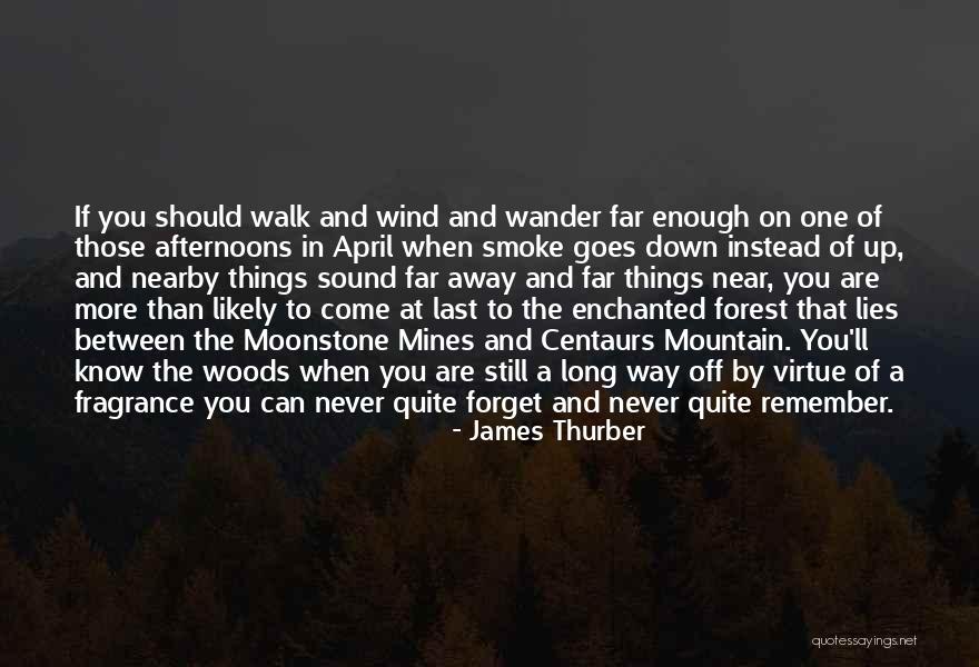 Enchanted Woods Quotes By James Thurber