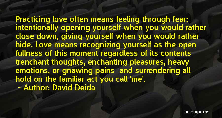 Enchanting Love Quotes By David Deida