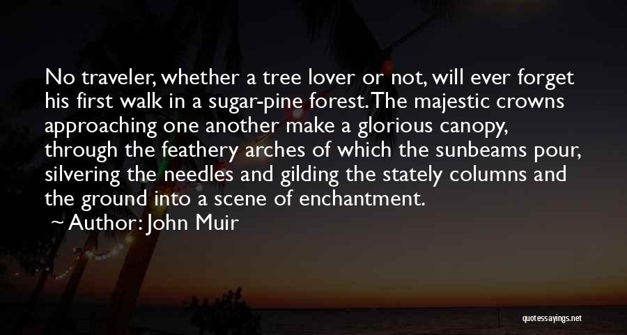 Enchantment Quotes By John Muir