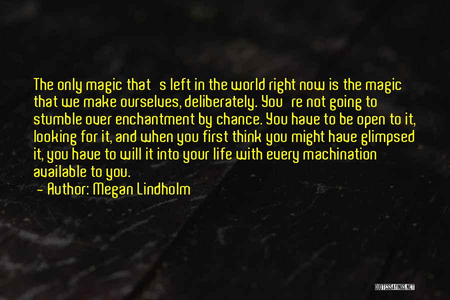 Enchantment Quotes By Megan Lindholm