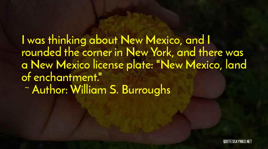 Enchantment Quotes By William S. Burroughs