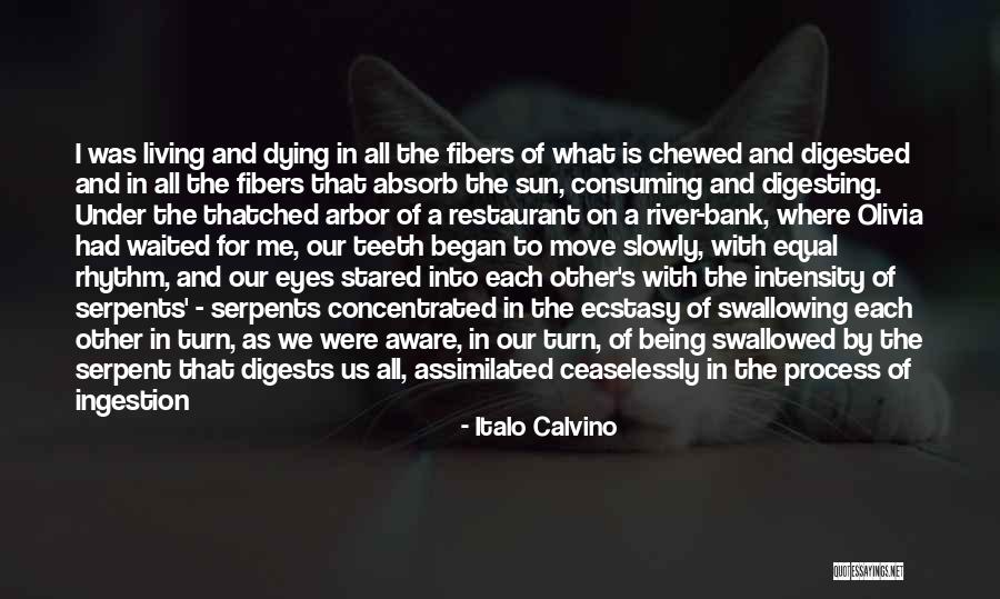 Enchiladas Quotes By Italo Calvino Enchiladas Quotes By Italo Calvino