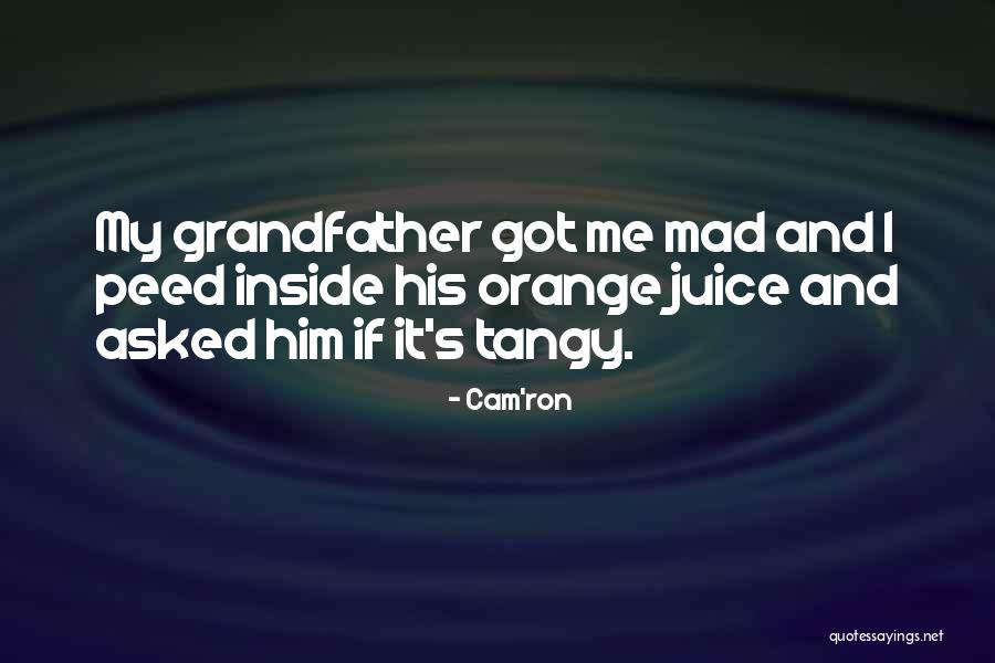 Encimera Cocina Quotes By Cam'ron Encimera Cocina Quotes By Cam'ron