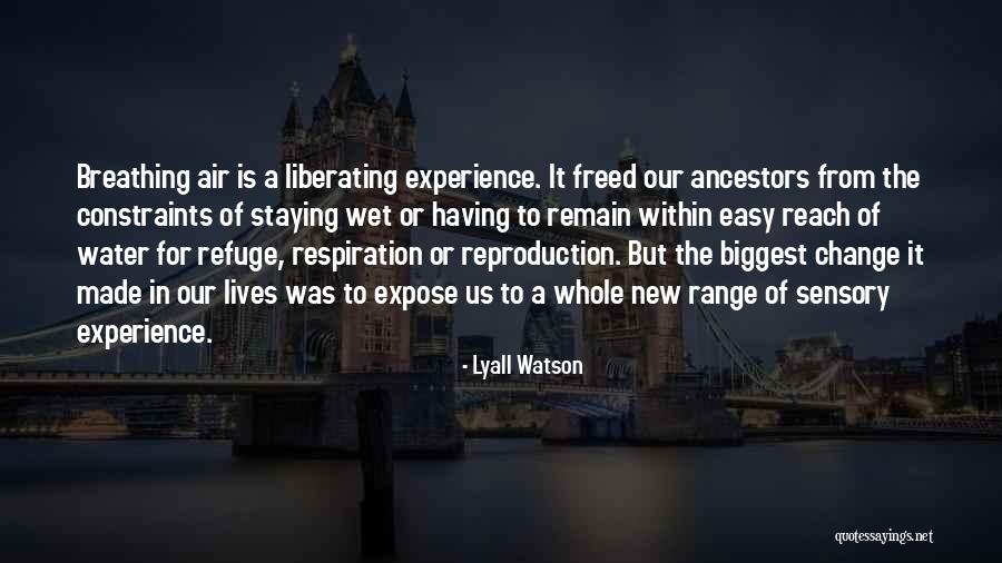 Enclenque Sinonimo Quotes By Lyall Watson Enclenque Sinonimo Quotes By Lyall Watson