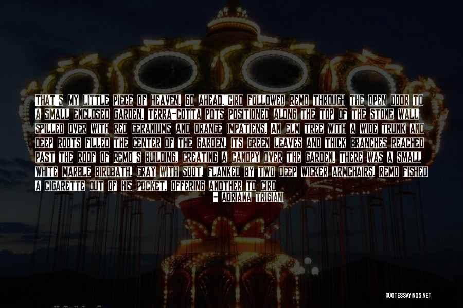 Enclosed Quotes By Adriana Trigiani Enclosed Quotes By Adriana Trigiani
