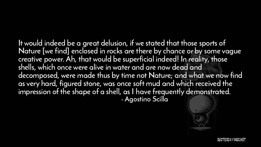 Enclosed Quotes By Agostino Scilla Enclosed Quotes By Agostino Scilla
