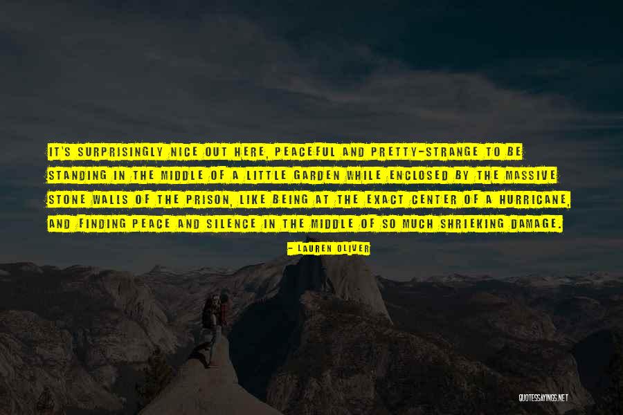 Enclosed Quotes By Lauren Oliver Enclosed Quotes By Lauren Oliver