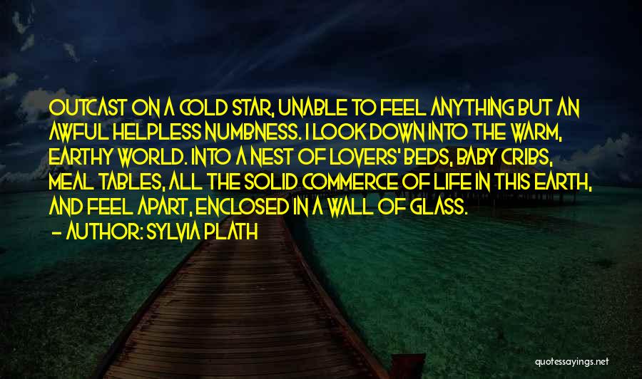 Enclosed Quotes By Sylvia Plath