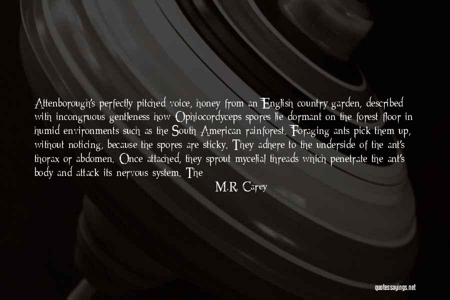 Encloseth Quotes By M.R. Carey Encloseth Quotes By M.R. Carey
