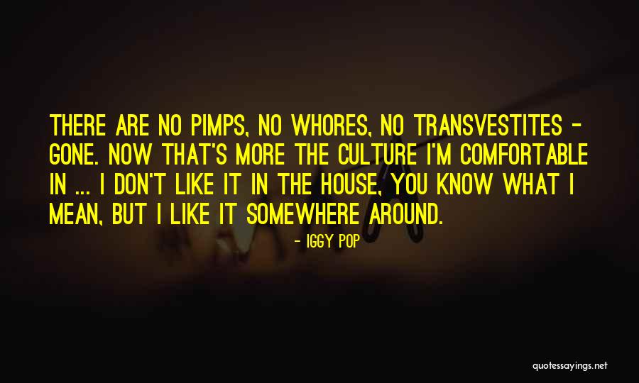 Encompassing Beauty Quotes By Iggy Pop Encompassing Beauty Quotes By Iggy Pop