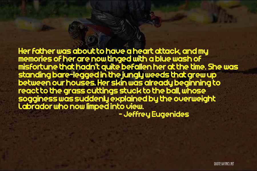 Encontrei Minha Quotes By Jeffrey Eugenides Encontrei Minha Quotes By Jeffrey Eugenides