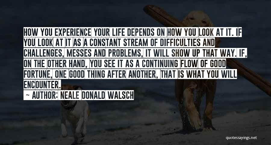 Encounter Problems Quotes By Neale Donald Walsch