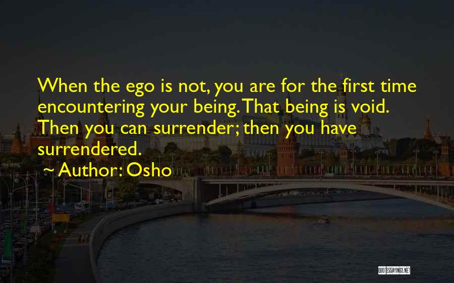 Encountering Quotes By Osho