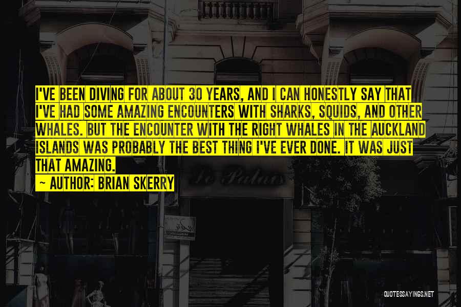 Encounters Quotes By Brian Skerry