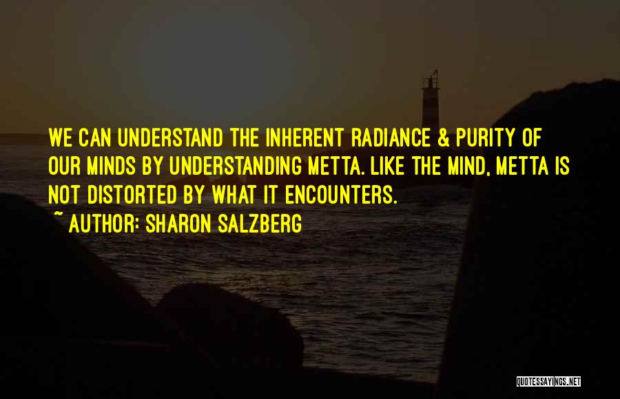 Encounters Quotes By Sharon Salzberg