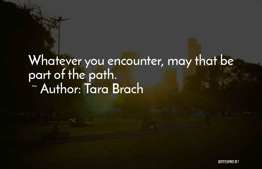 Encounters Quotes By Tara Brach