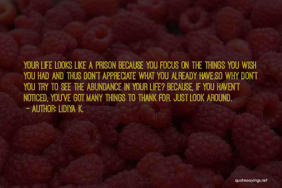 Encouragement In Life Quotes By Lidiya K.