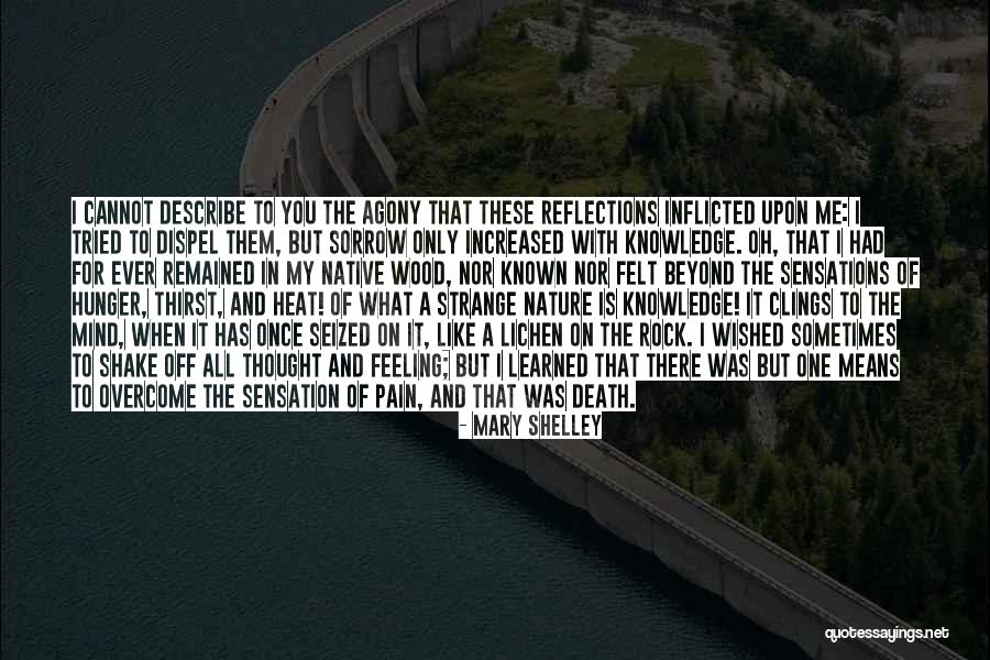 Encroachers Synonym Quotes By Mary Shelley Encroachers Synonym Quotes By Mary Shelley