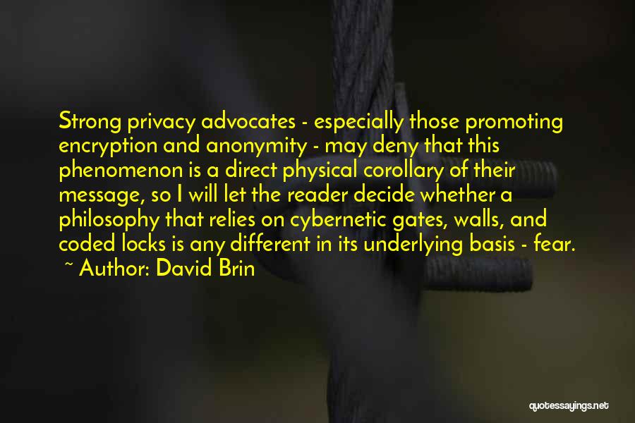 Encryption Privacy Quotes By David Brin