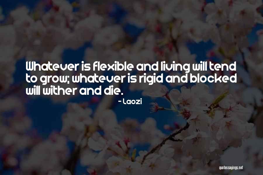 Encuentro Valle Quotes By Laozi Encuentro Valle Quotes By Laozi