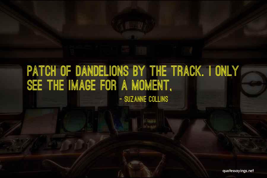 Encysted Papillary Quotes By Suzanne Collins Encysted Papillary Quotes By Suzanne Collins