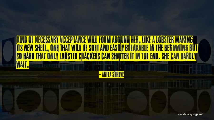 End And A New Beginning Quotes By Anita Shreve End And A New Beginning Quotes By Anita Shreve
