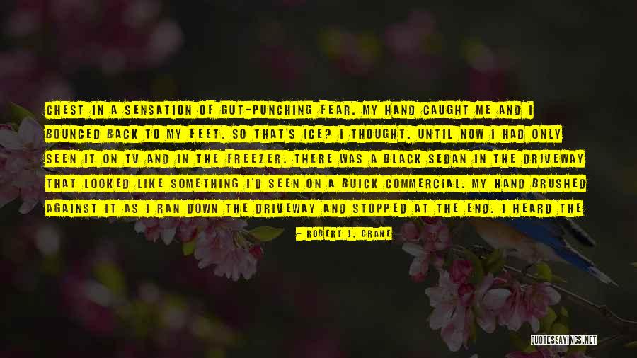 End It Now Quotes By Robert J. Crane End It Now Quotes By Robert J. Crane