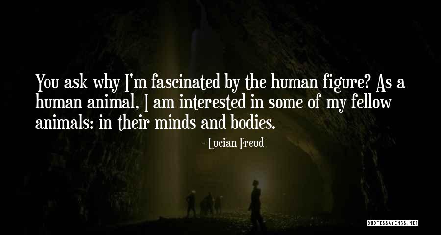 End Of Camelot Quotes By Lucian Freud End Of Camelot Quotes By Lucian Freud