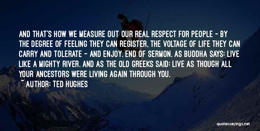 End Of Degree Quotes By Ted Hughes