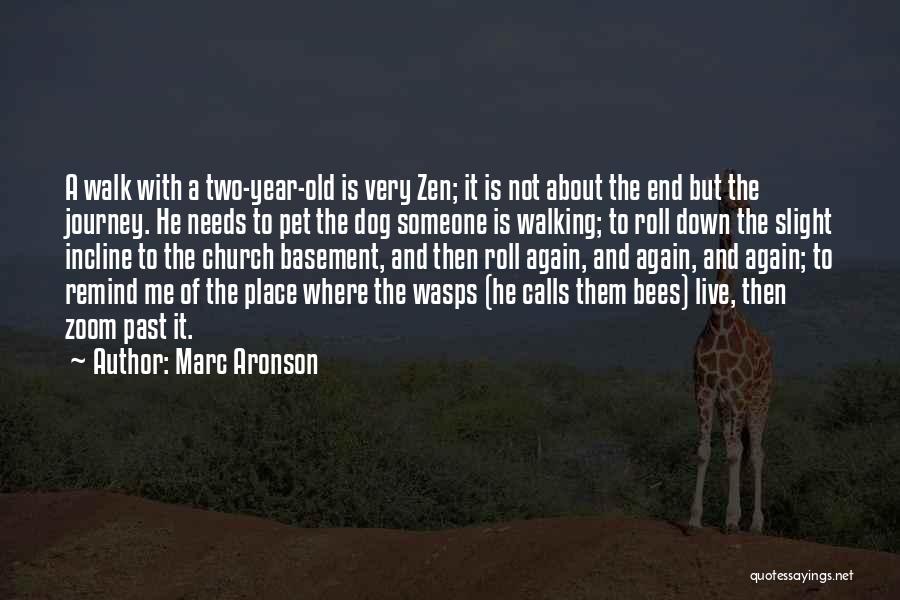 End Of Journey Quotes By Marc Aronson