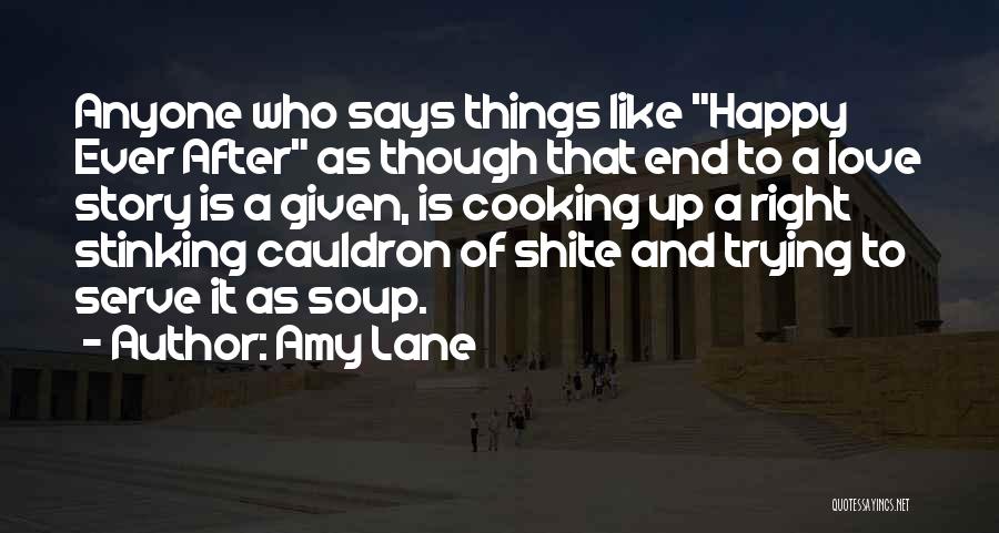 End Of Love Story Quotes By Amy Lane