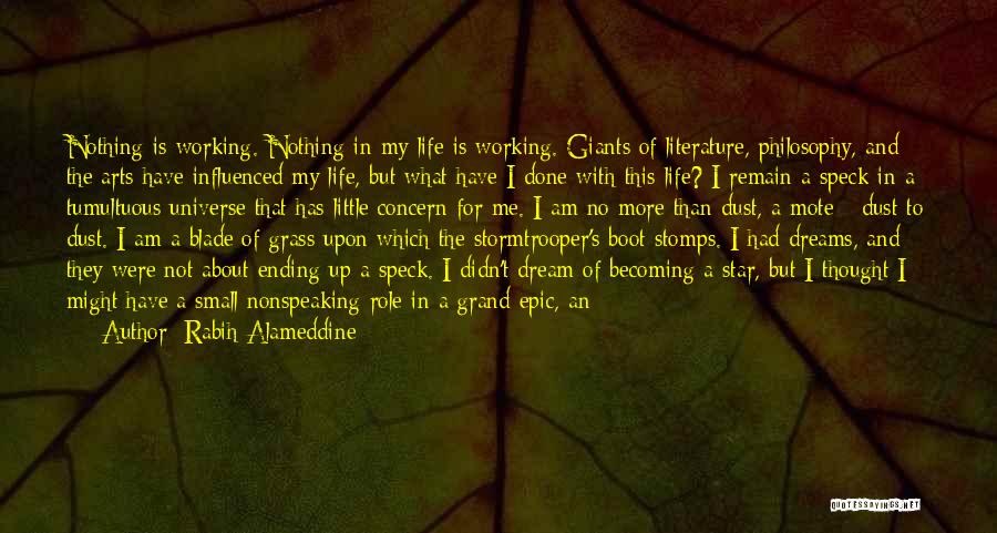 End Of My Life Quotes By Rabih Alameddine