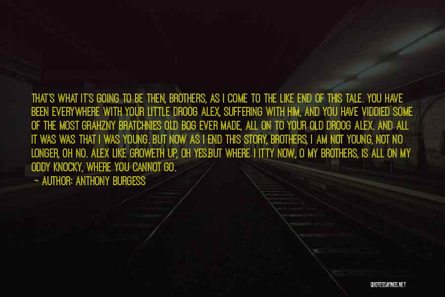 End Of My Story Quotes By Anthony Burgess