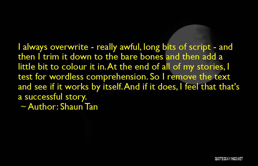 End Of My Story Quotes By Shaun Tan