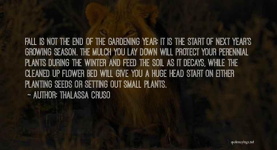 End Of Season Quotes By Thalassa Cruso