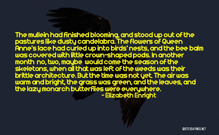 End Of The Season Quotes By Elizabeth Enright