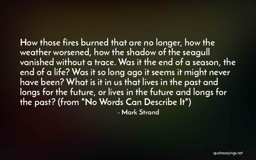 End Of The Season Quotes By Mark Strand End Of The Season Quotes By Mark Strand