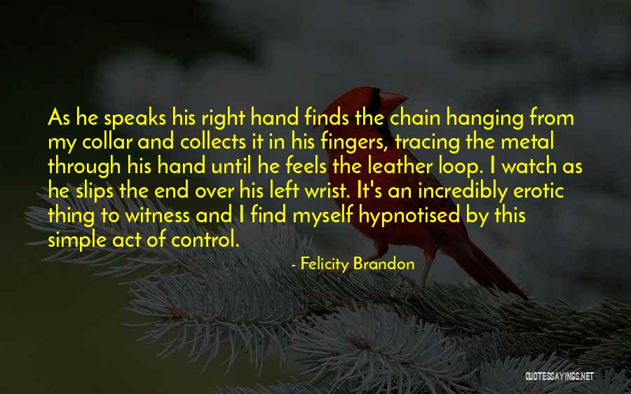 End Of Watch Quotes By Felicity Brandon