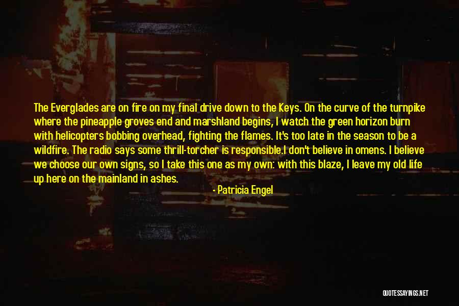 End Of Watch Quotes By Patricia Engel