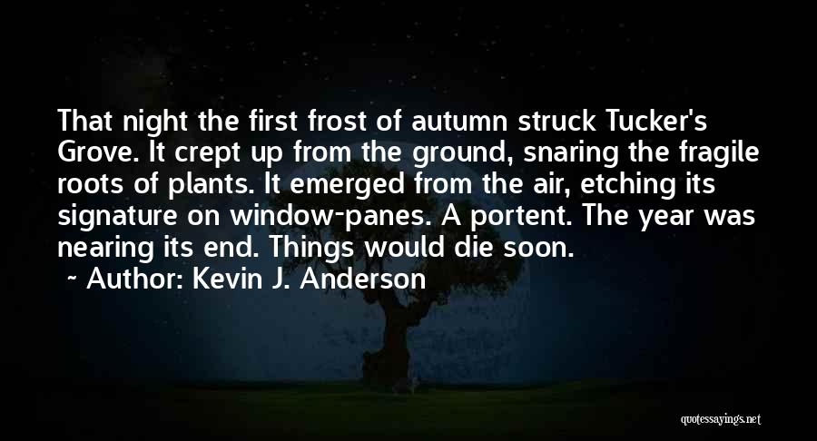 End Of Year Quotes By Kevin J. Anderson