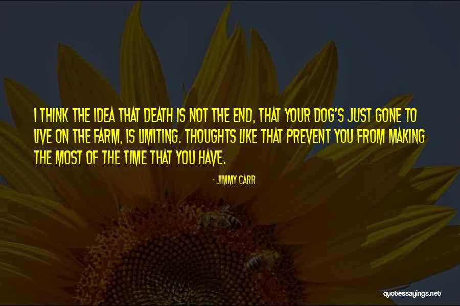 End Time Quotes By Jimmy Carr End Time Quotes By Jimmy Carr