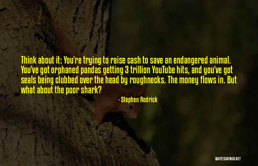 Endangered Pandas Quotes By Stephen Rodrick Endangered Pandas Quotes By Stephen Rodrick