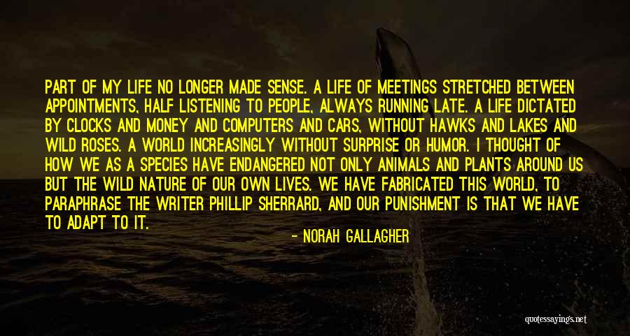 Endangered Species Quotes By Norah Gallagher Endangered Species Quotes By Norah Gallagher