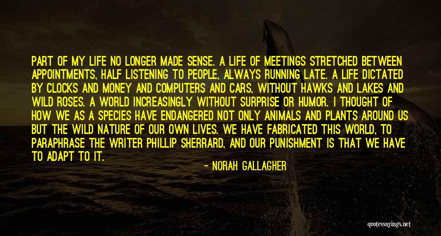 Endangered Species Quotes By Norah Gallagher