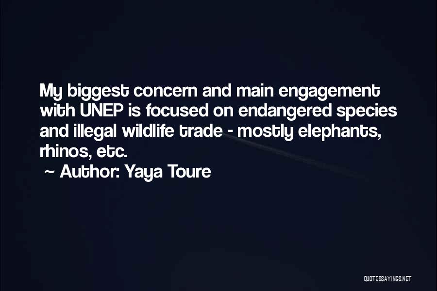 Endangered Species Quotes By Yaya Toure