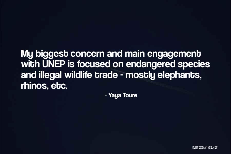 Endangered Species Quotes By Yaya Toure